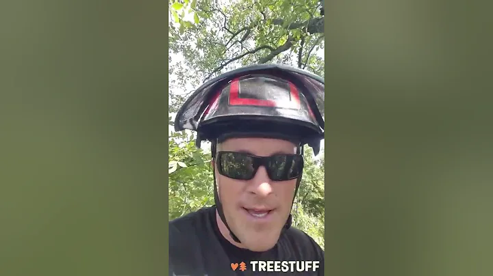 #TreeoCache25 - Video by Elaine and David Purdy - ...