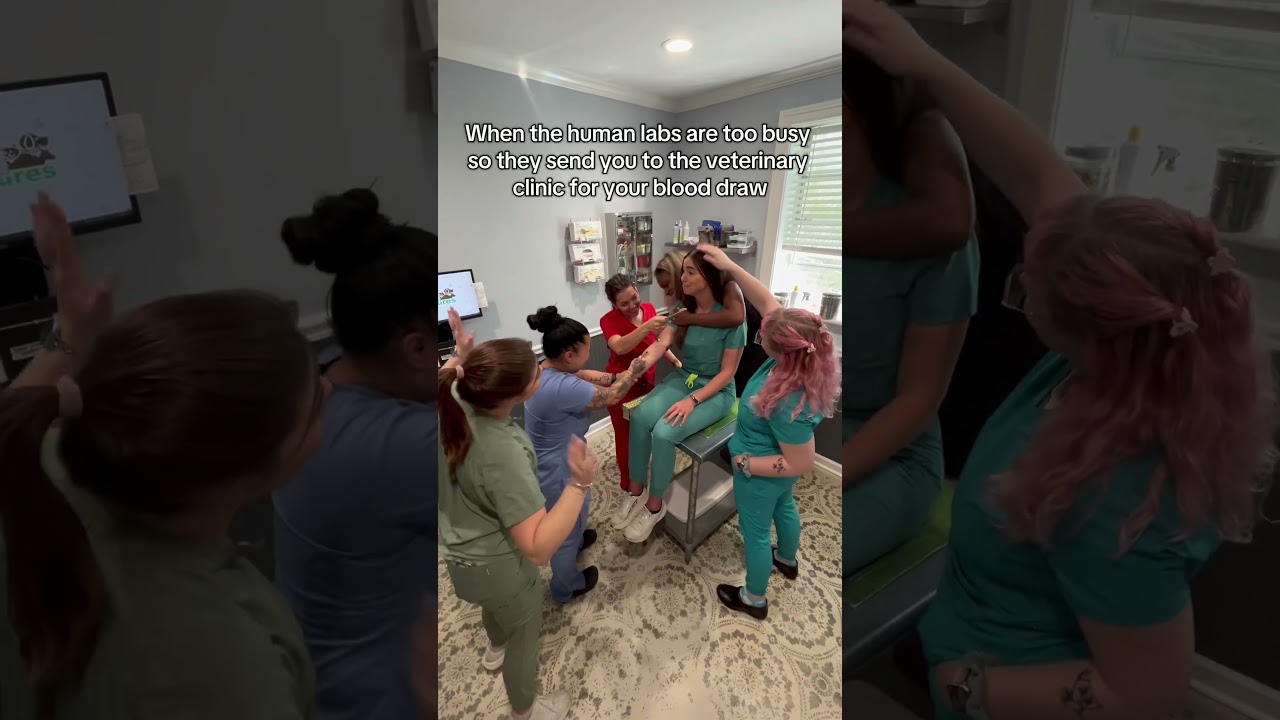 Better experience, honestly. 