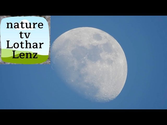 Nikon coolpix P900 83x optical zoom world record - video test on
