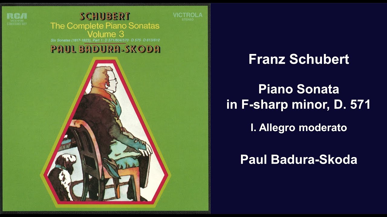 Franz Schubert: Piano Sonata in F-sharp minor, D. 571 - I. Allegro