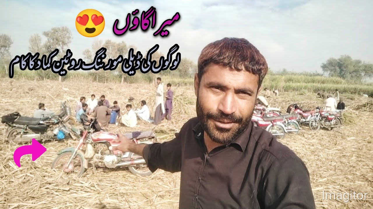 میرا گاؤں لوگوں کی ڈیلی مورننگ روٹین کماد کا کام|| 🌾😍