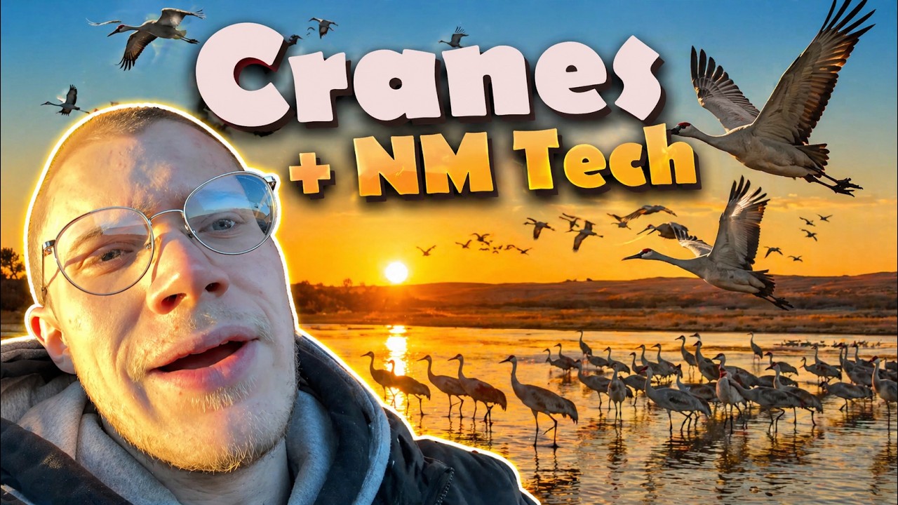YouTube thumbnail for Early Morning Sandhill Cranes and Tour of NM Tech