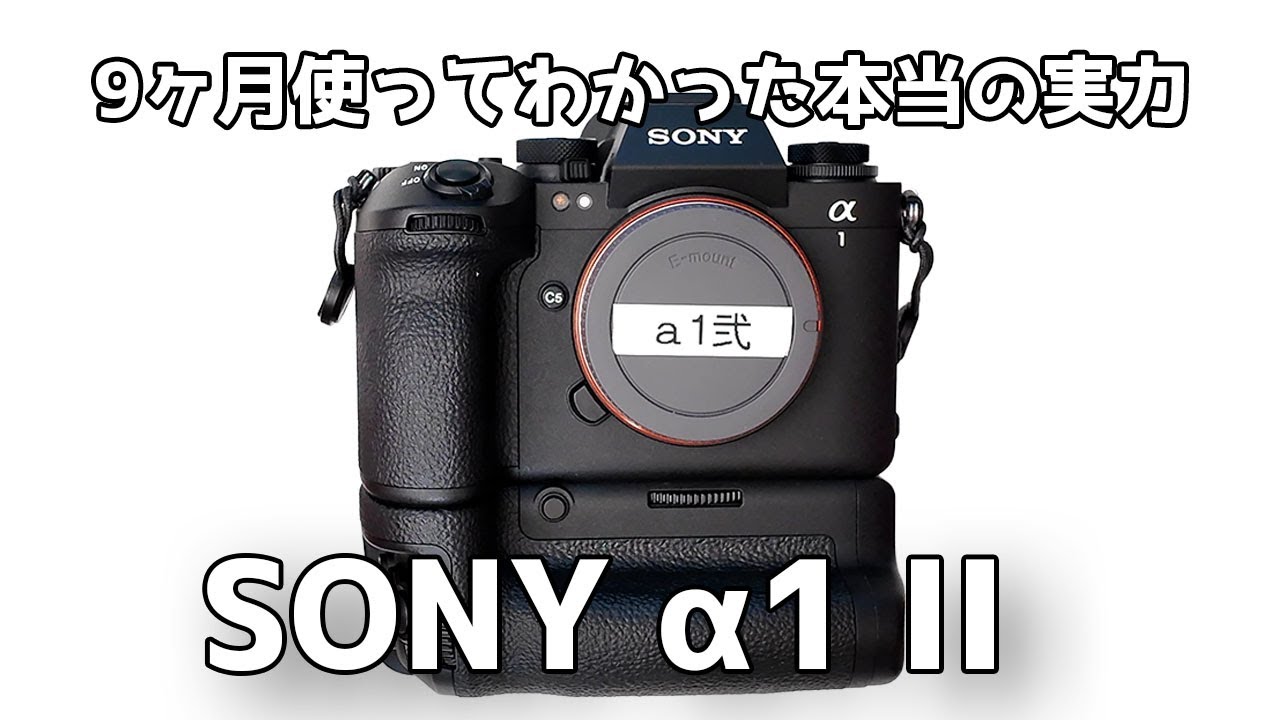 【長期使用レビュー】SONY α1 IIを9か月使って感じたこと 野鳥・スナップ・風景、全部撮った正直な感想をじっくり話します【真のフラグシップ機とは？】