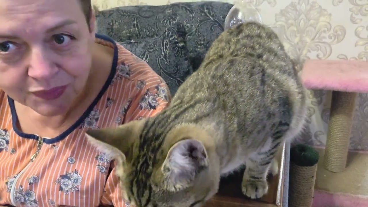 Драники фкуснее-еее