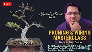 SN-102 Bougainvillea (Shrub) Live Demonstration and tutorial of Bonsai Pruning/Wiring/Repotting