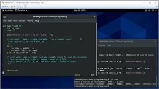 Getting Input One Character at a Time in C