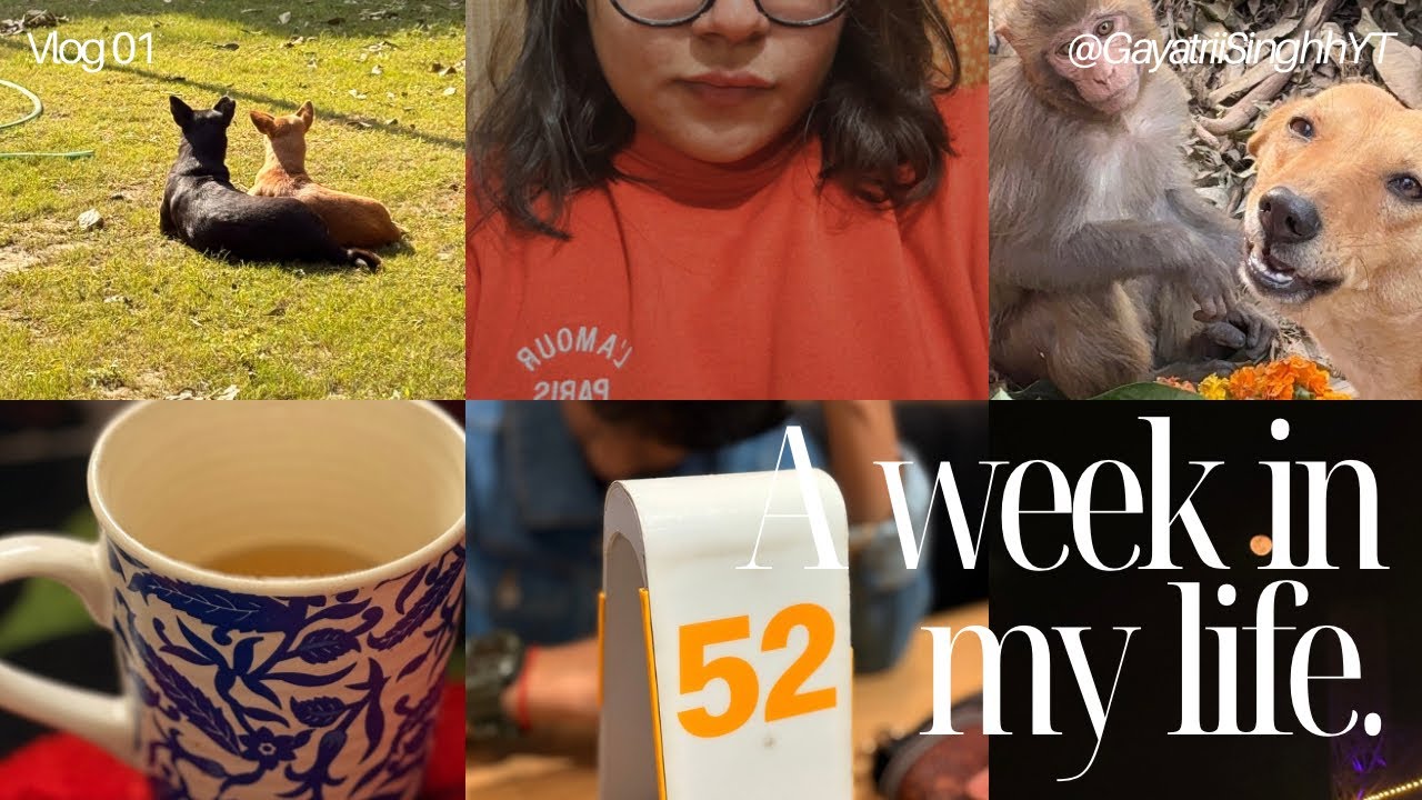A week in my life | Vlog 01 | No music, Unfiltered 2026 