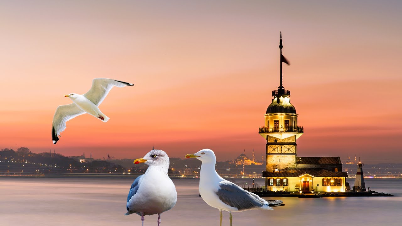 Turkish İnstrumental Music Best Turkish Music YouTube