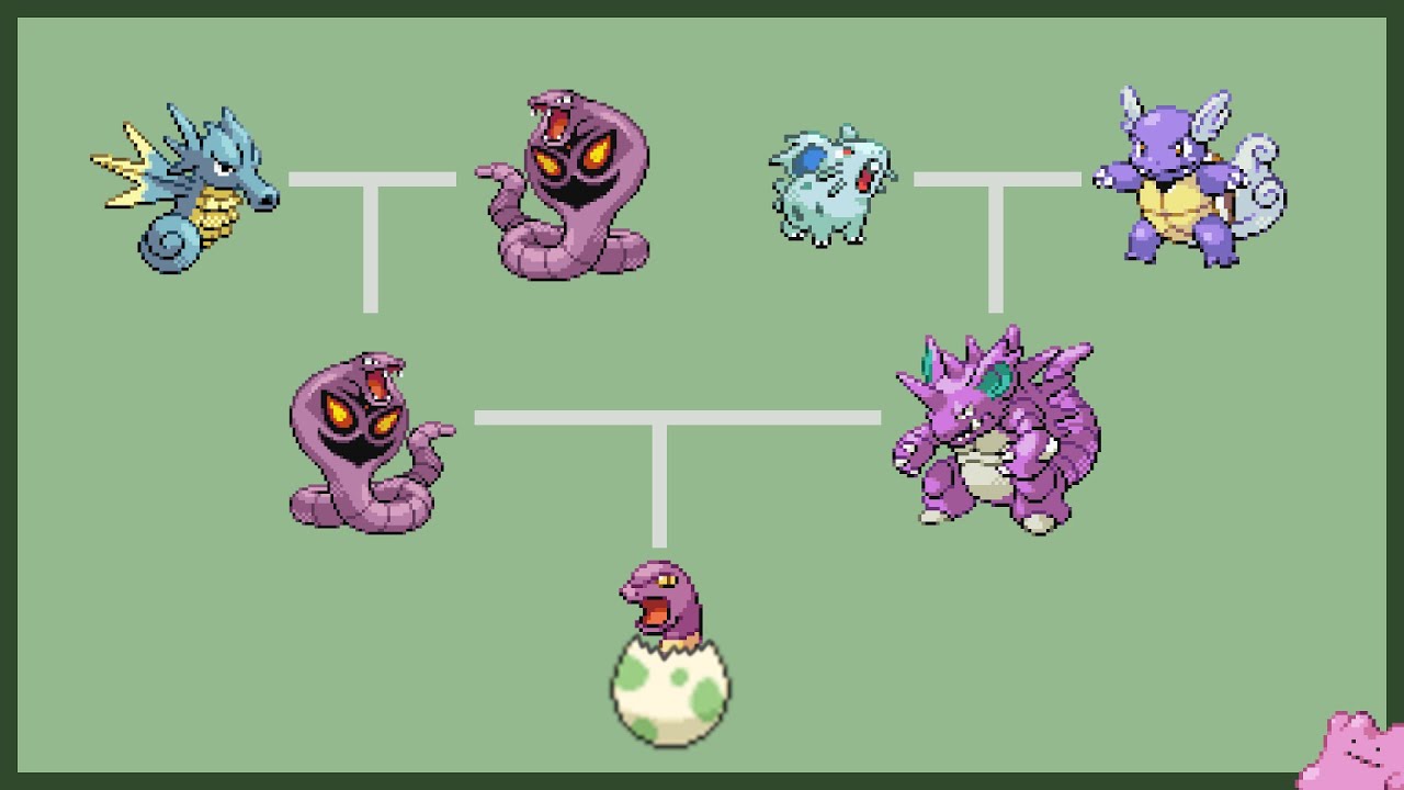 Trying to Figure out how Pokémon breeding works (It doesn't) - YouTube