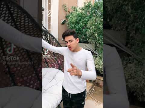 تريند عندكو شامبو بطريقة عمر الكروان ضحك السنين