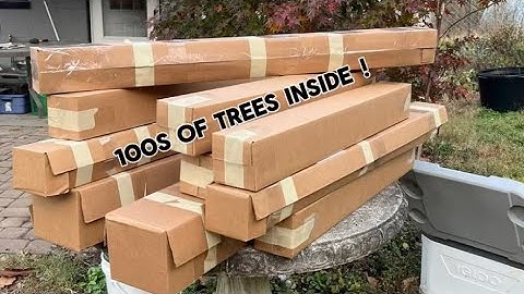 How I pack and ship bare root trees
