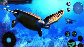The Turtle Simulator – Survive the Wild as a Resilient Reptile
