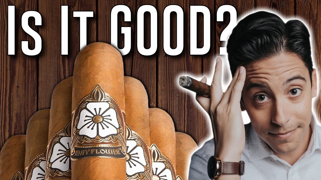 Are Mayflower Cigars Good Or Trash?