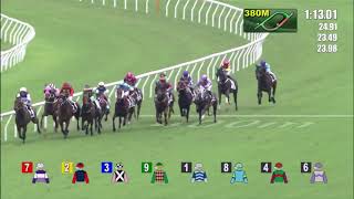 5/6/2022 (726) Turquoise Alpha - V Borges