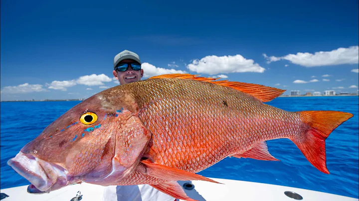 SECRET Spot for GIANT Snapper! Catch Clean Cook (How to catch mutton Snapper)