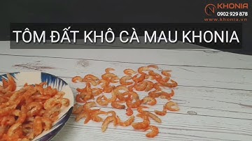 Giới Thiệu Tôm Đất KHÔ Cà Mau