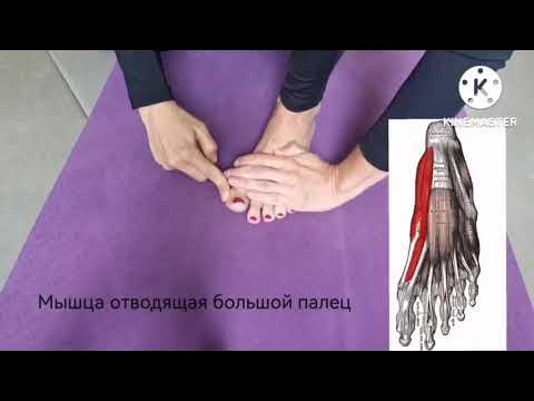 Тестирование функциональности стопы. - YouTube