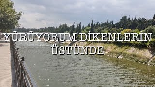 İbrahim Tatlıses - Yürüyorum Dikenlerin Üstünde