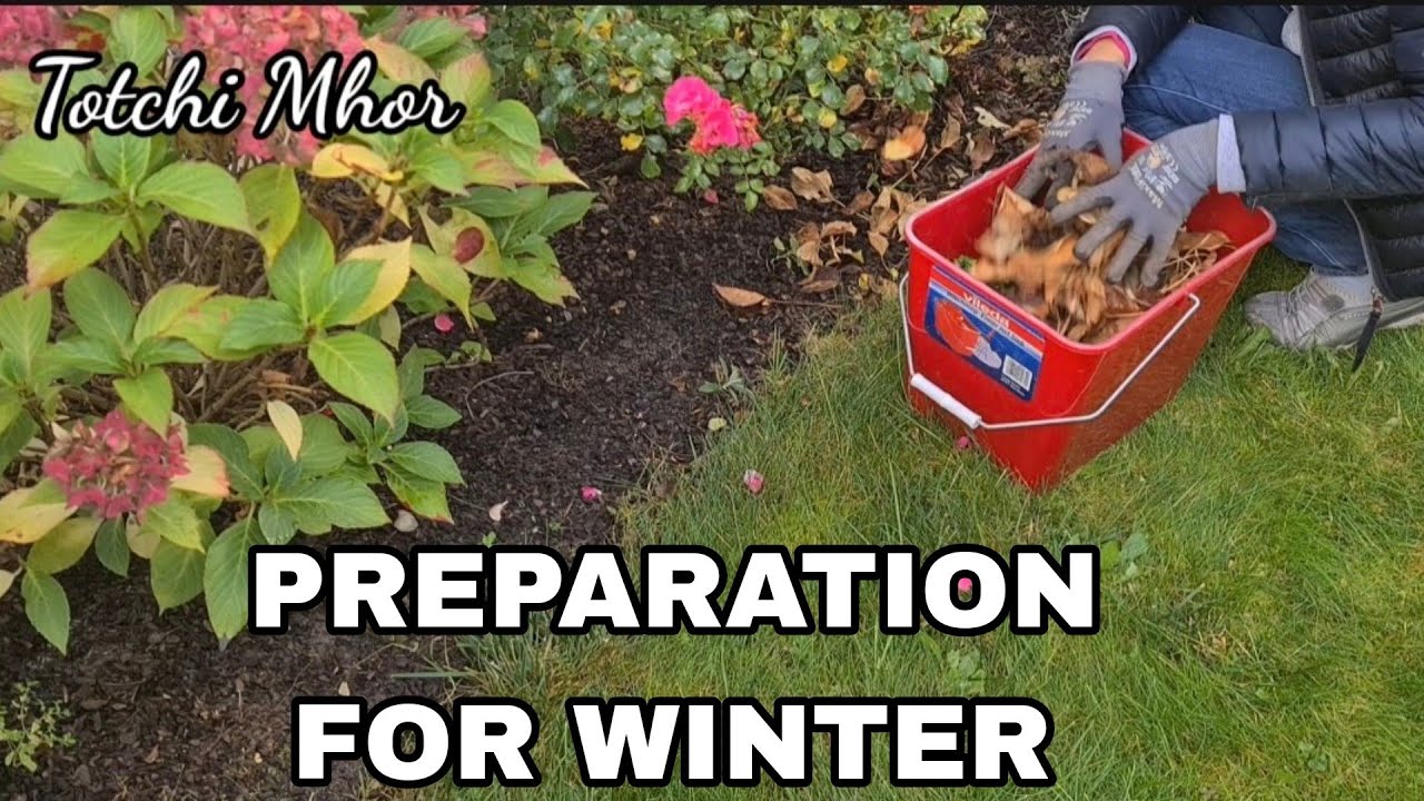 PREPARING OUR GARDEN BEFORE WINTER YouTube