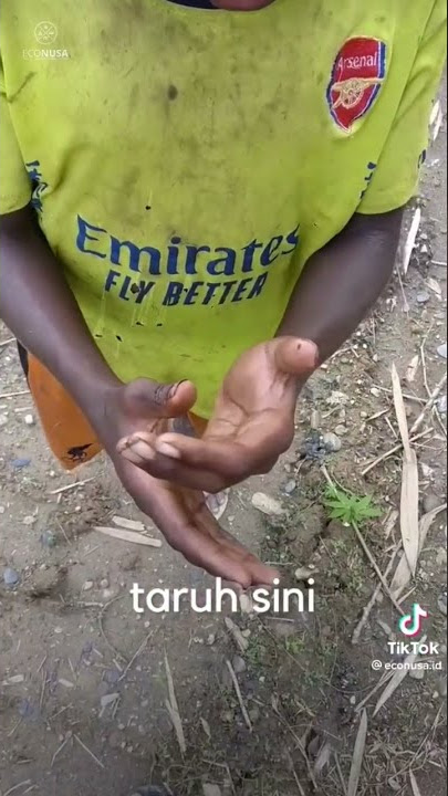 Download lagu cara membuat suara burung cendrawasih ala anak2 papua!!!