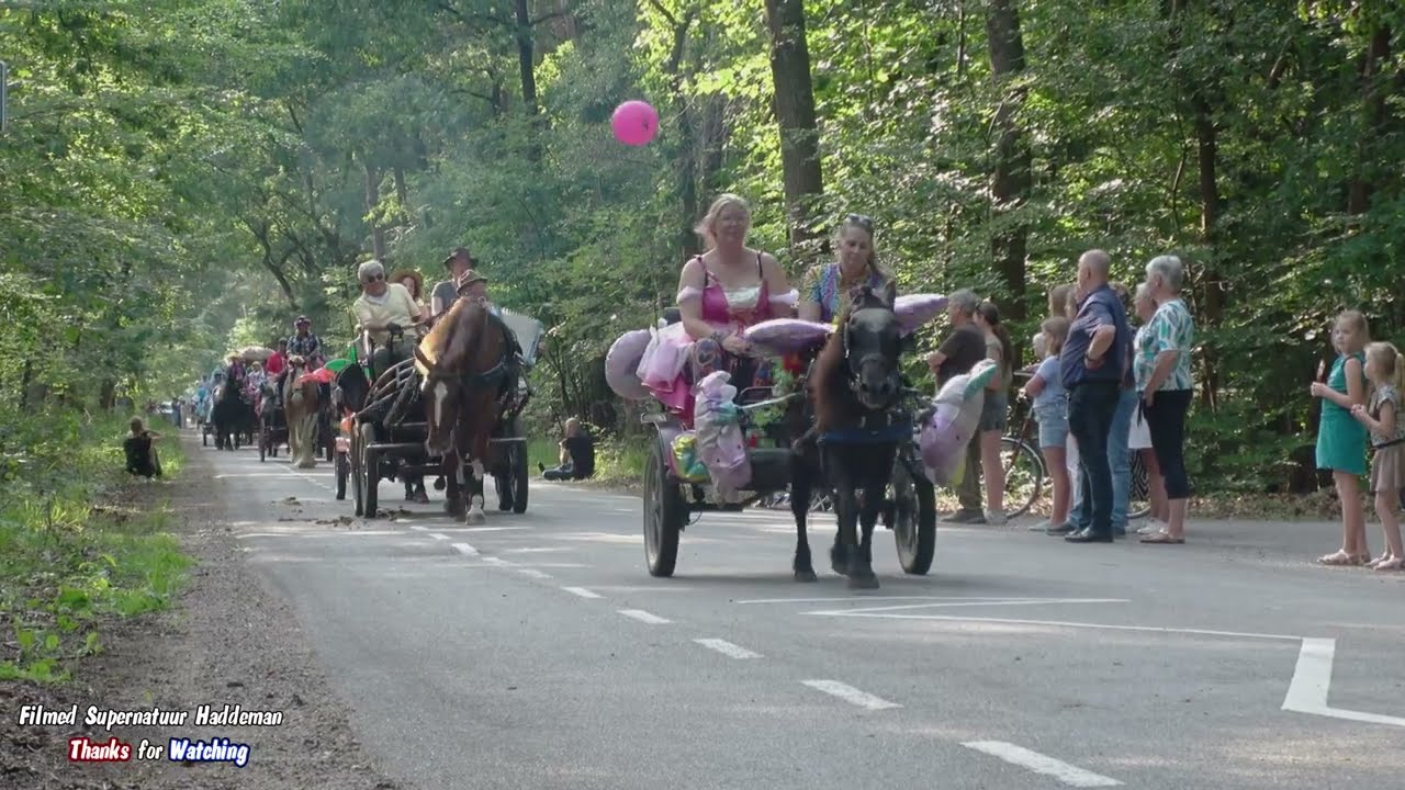 Intocht Paarden4daagse in één stoet door Epe 18 JULI 2025 | The 30th Epe Four-Day Horse Marches 2025