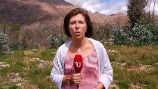 El Monte Pindo un año después del incendio