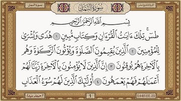 سورة النمل  بصوت الشيخ حسن صالح 027