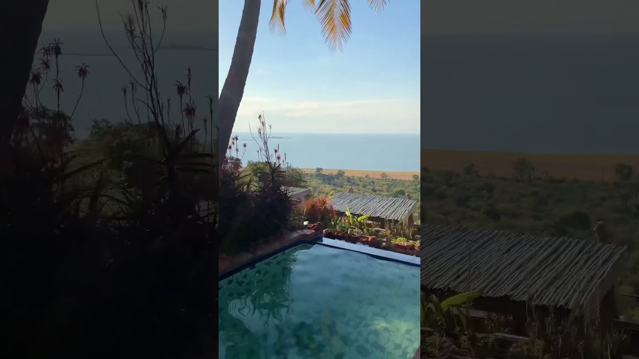 POOL with a view of the amazing Lake Kariba from Bumi Hills 🐘🚤 