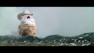 Это че за захватчик дикий?