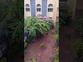 IGM Library University of Hyderabad #hcu #nature #uoh #hcustudents #naturephotography
