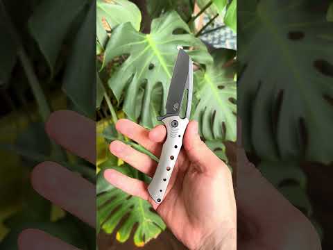 Gavko Nurse Michal Gavac S35VN Small Titanium Framelock Folder WE Knife OEM Polished Handle 