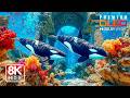 Relaxing Blue Ocean Escape 8K HDR – Gentle Marine Life &amp; Ambience Sleep Sounds