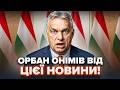 ⚡️У Орбана аж ВІДВИСЛА ЩЕЛЕПА! Ви НЕ повірите, ЩО ЗЛИЛИ В МЕРЕЖУ – вся Угорщина ВИБУХНУЛА СКАНДАЛОМ
