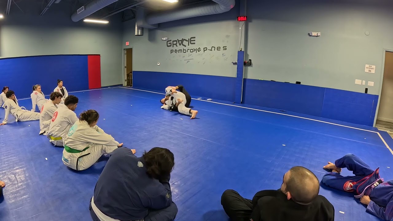 Escape back control with turtle flip