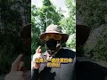 台灣需要美化嗎？ 為什麼台灣從某一些角度來看不漂亮？？？ 我們何必欣賞日本？？？ #美化 #台灣
