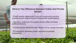 What Is The Difference Between Public And Private Sector? - International Policy Zone