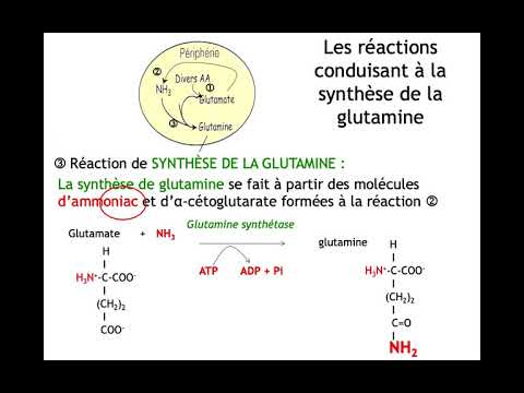 Vidéo: Par produit de désamination ?