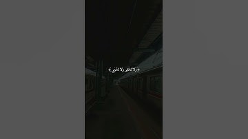 سورة القصص | القارئ: ياسر الدوسري