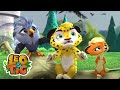 Leo &amp; Tig -  O despertar do dragão e mais episódios completos | Desenhos infantil 🐯🦁