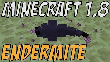 Minecraft 1.8 - Endermite - NEW MOB