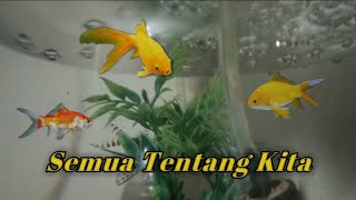 Semua tentang kita ' Story wa ' Baper' KTM