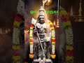 #palanimalai #palani #murugantemple #muruganthunai #muruga #murugan #murugansongs #lordmurugan #god