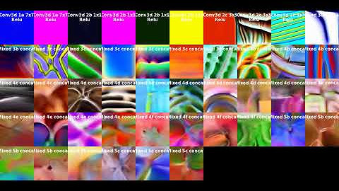 Visualization of I3D network features: Cppn parametization