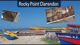 Rocky Point Fishing Village Clarendon