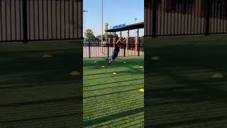 6ft Zig-Zag Cone Jumps via @coach_stefano