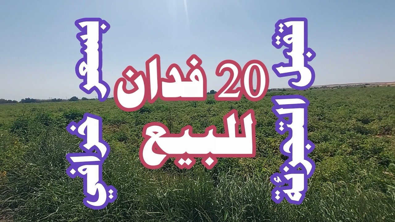 20 فدان ارض زراعية للبيع