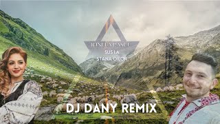 Ionela Pascu - Sus la stana oilor (DJ DANY REMIX)