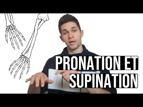Vidéo: Supination Et Pronation: Ce Que Cela Signifie Pour Le Pied Et Le Bras