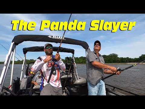 Tangling with Catfish on the Mississippi River, Bumping for River Panda's
