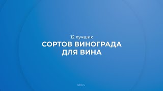 Интернет курс обучения «Технология виноделия (Винодел)» - 12 лучших сортов винограда для вина